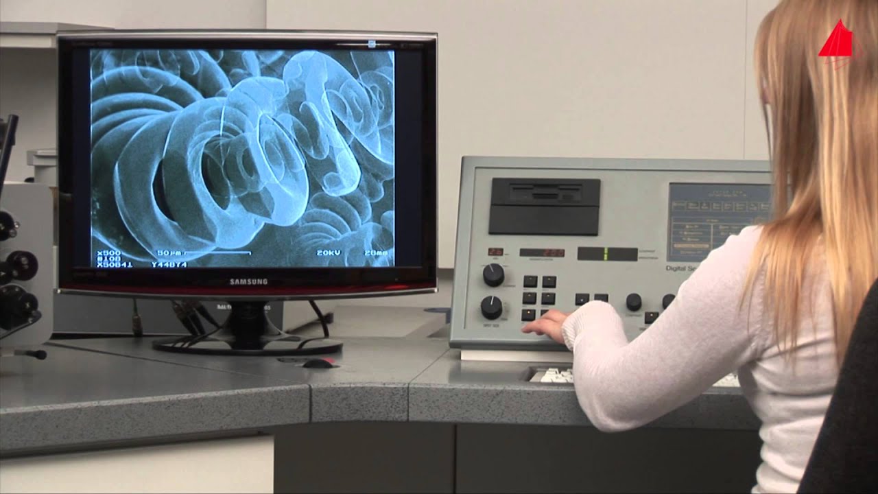 Imagini pentru scanning electron microscope video