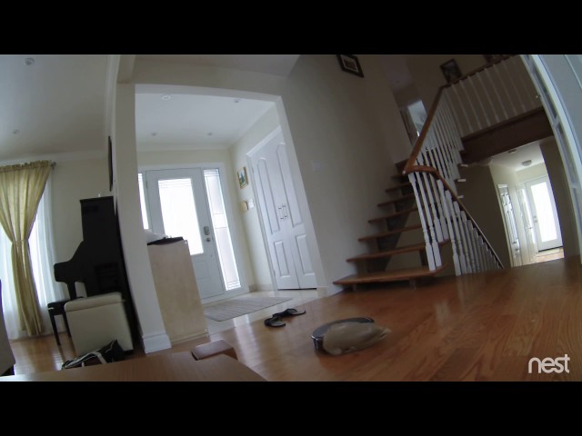 Roomba Committing Suicide - Video