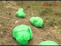 El V Batallón de la UME se prepara para el fuego