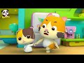 Baby Panda is afraid of Doctor | Kids Cartoon | Baby Cartoon | Doctor Cartoon | Baby Video | BabyBus