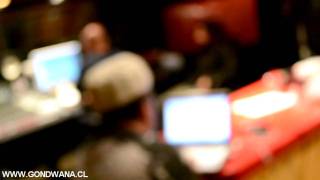 Watch Gondwana Concrete Jungle video