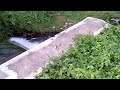 image Ngintip Cewek Mandi Di Sungai