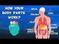 How Do Your Body Parts Work? | Non Stop Episodes | The Dr. Binocs Show | PEEKABOO KIDZ