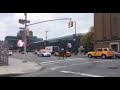 Runaway Carriage Horse in NYC