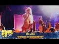 Mia Julia - Scheiss auf Schickimicki - Ballermann Hits