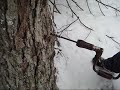 Vermont Maple Syrup Production