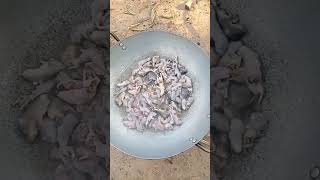 Fried Baby Mice