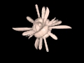 j 143