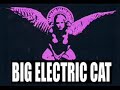 Big Electric Cat : Twisting Man