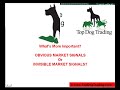 Day Trading Forex Futures and Stocks with Invisible Indicators