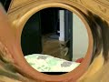 Circus Cat Audition