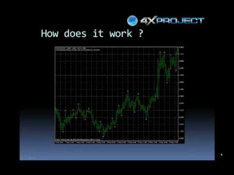 Wtf ea forex