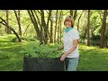 planting