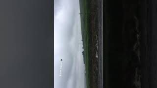 Tofaş Snap