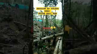 Heselum Elege Tulang Emas Hutan Kali Aum