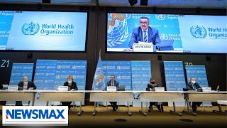 World Health Organization will meet to talk 'global pandemic treaty'