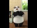 Singing Panda