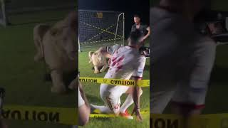 Ga1dl9TqrB0 Video Image