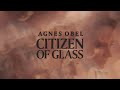 Red Virgin Soil Video preview