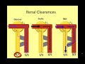 clearance