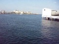 fishingmax 二色の浜店 イワシ乱舞