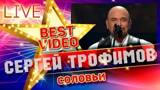 Сергей Трофимов - Соловьи Live Коллекция Лучших Выступлений Best Video