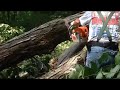 Reverse gravity tree cutting