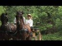 Download ALMANZO WILDER: LIFE BEFORE LAURA - Trailer ALMANZO WILDER: LIFE BEFORE LAURA - Trailer