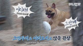 Gc2bpBtNFLk Video Image