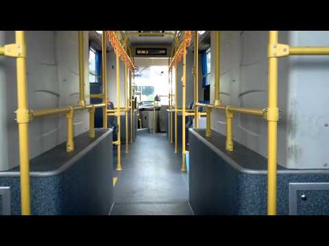 byd bus