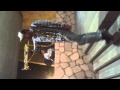 Solo (Parte buhos) Micho y Tinoco ITM