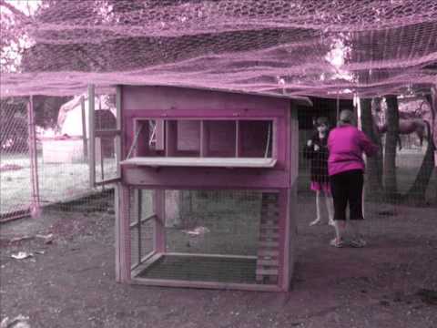 Ways of Building Chicken Coops Housing for Hens