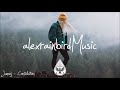 Indie/Rock/Alternative Compilation - February 2018 (1½-Hour Playlist)