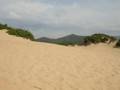 Dune di Piscinas