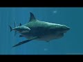 liopleurodon