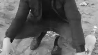 Status Üçün Gözəl Video