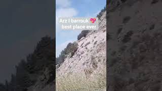 Arz L Barrouk
