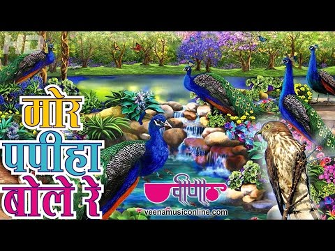 Mor Papiha Bole Re | Latest Rajasthani Songs 2014 HD Video |...
