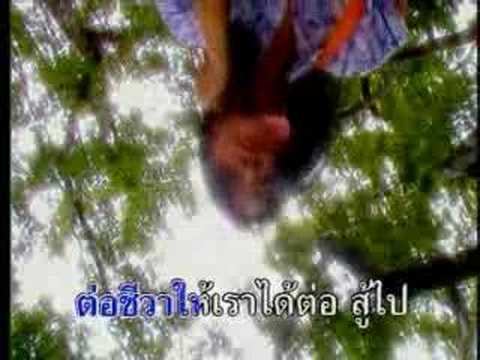 รอรัก thumb
