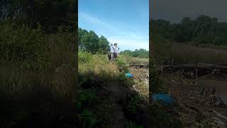 Mancing Ikan Pelak