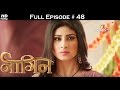 Naagin - 17th April 2016 - नागिन - Full Episode (HD)