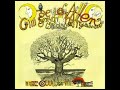 Daevid Allen & Mother Gong - I am a tree