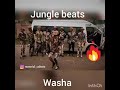 WASHA BY JUNGLE BEATS(FOR THE LOVE OF GQOM)
