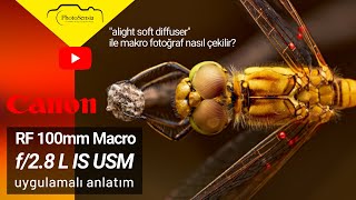 Bu Lens Bildiğiniz Makro Lenslere Benzemiyor - Canon Rf 100Mm F2.8L Macro Is Usm