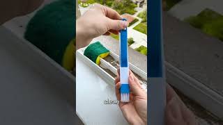 Window Cleaning Brush