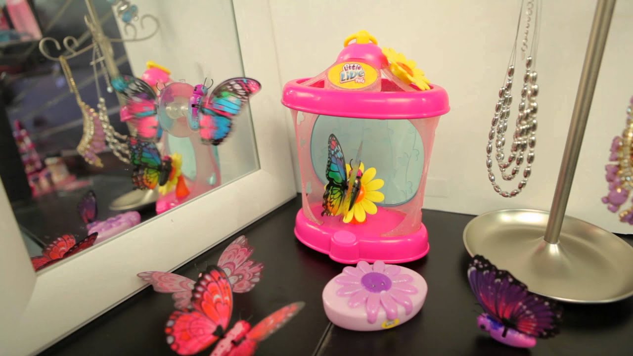 My Pet Butterfly Collection ! - YouTube