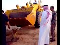 Camel In Saudi Arabia
