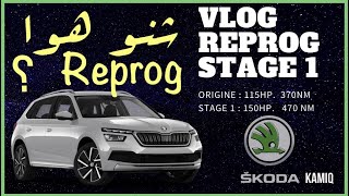 Vlog Reprog Stag 1 اجي تعرف شنو هو الرپروڭ