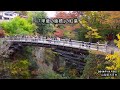 日本三奇橋のひとつ「猿橋」の紅葉見ごろ