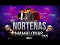 Las Norteñas Más Mamalonas del 2020 (Mix) By Dj Alfred | Con Ese Corazón, Acurrucar, Tu, Basta...